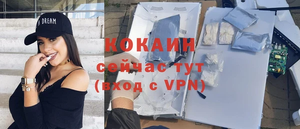 гидра Наволоки