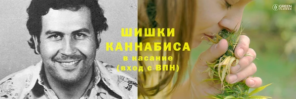 гидра Наволоки