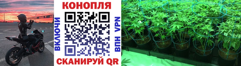 blacksprut ССЫЛКА  Краснообск  Канабис Bruce Banner 